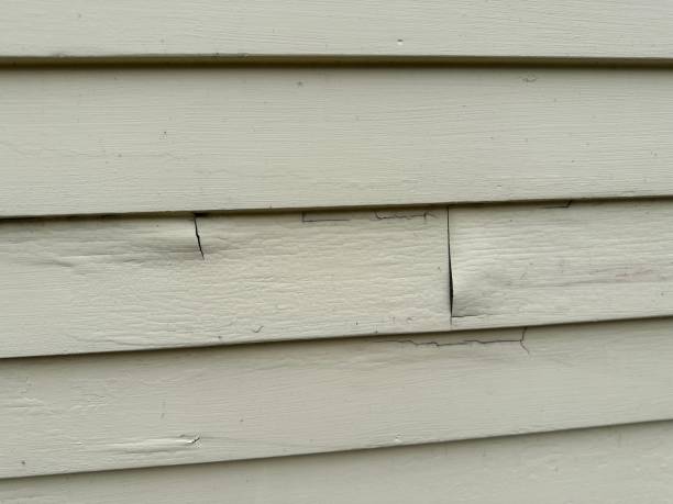 Best Fiber Cement Siding Installation  in Rocky Mount, VA